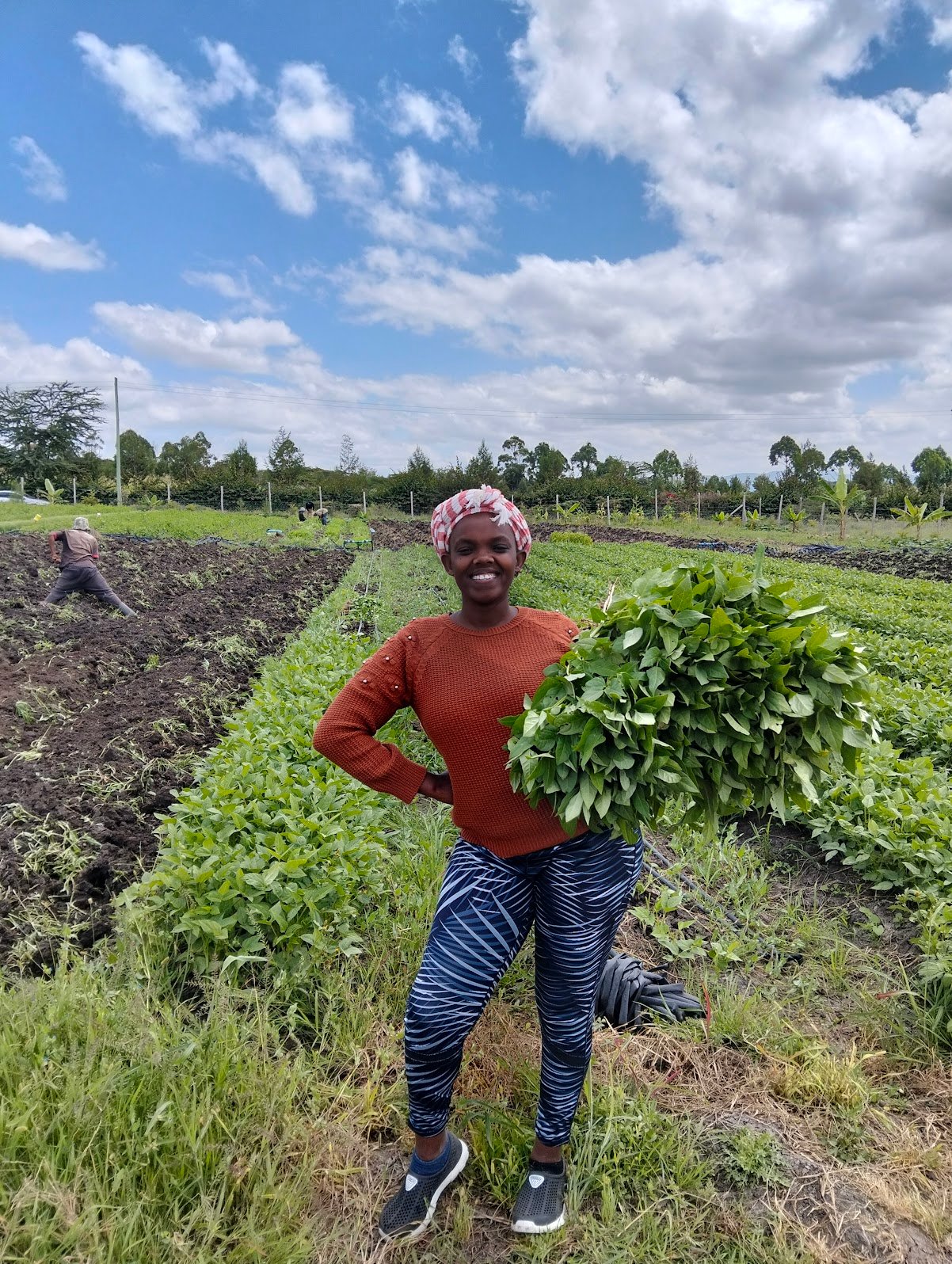 Women empowerment through sustainable farming